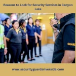 Security Services in Canyon Lake